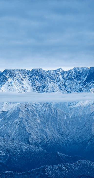 关于002cc白菜资讯